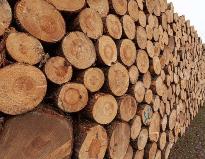 Система торгов древесиной