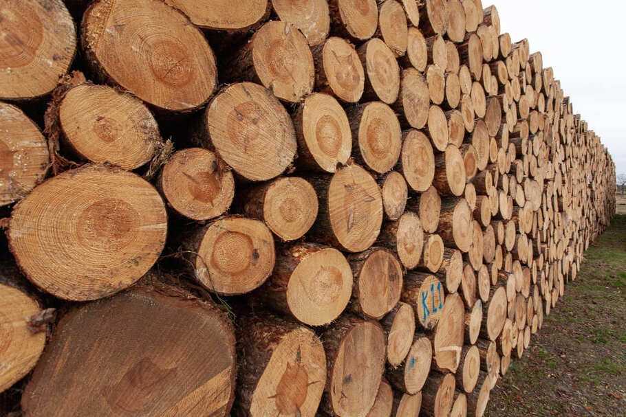 Система торгов древесиной
