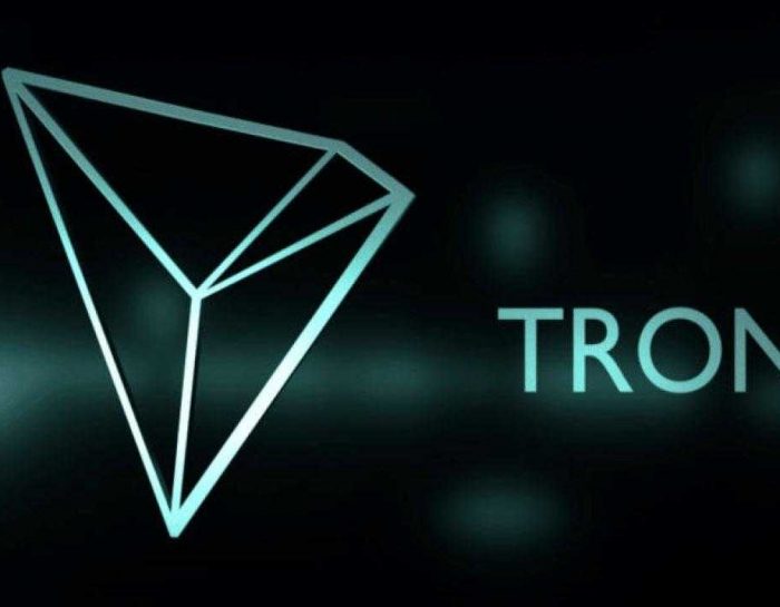 Изучаем TRON (TRX): новый король блокчейна?